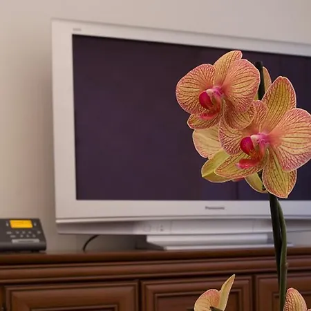 Satelit Ξενοδοχείο Πιεστάνυ